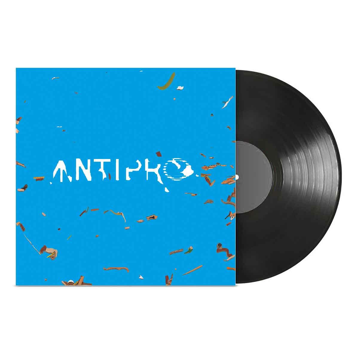 vinyl_10x10_antipro.jpg